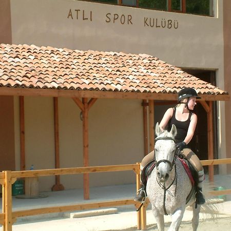 Iksir Resort Town Daday Esterno foto