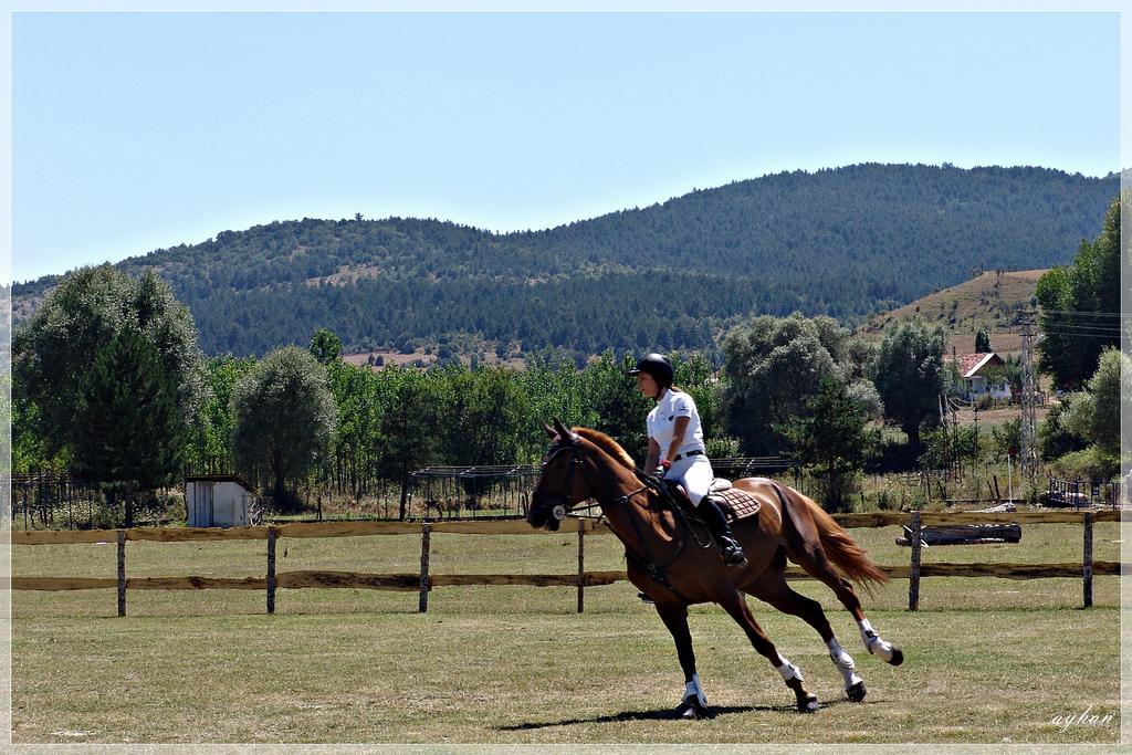 Iksir Resort Town Daday Esterno foto