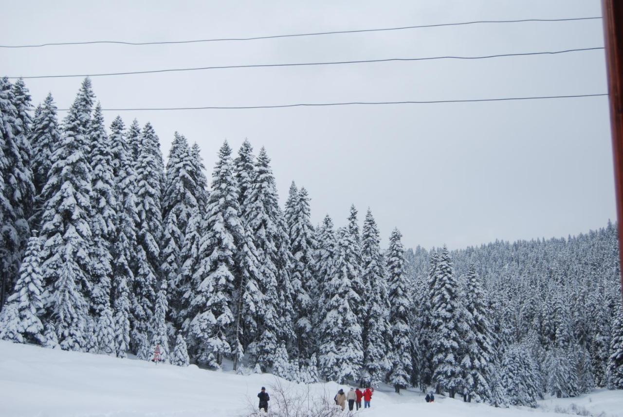Iksir Resort Town Daday Esterno foto