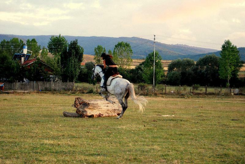 Iksir Resort Town Daday Esterno foto